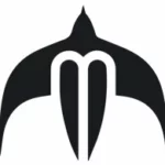 Minvielle Surfboard